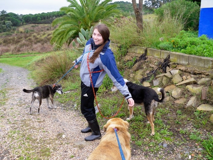 Tratadora de cachorros
