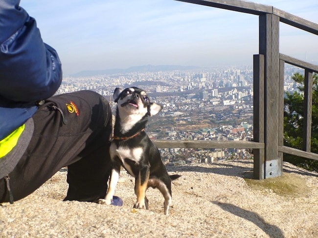 Montanha Inwangsan