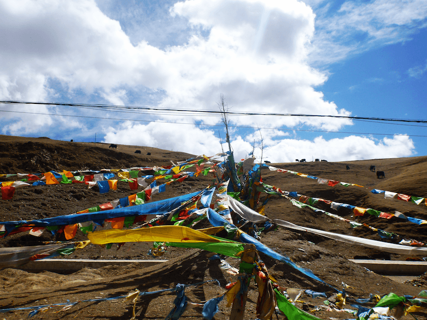 Prayer Flags Litang Tibet China