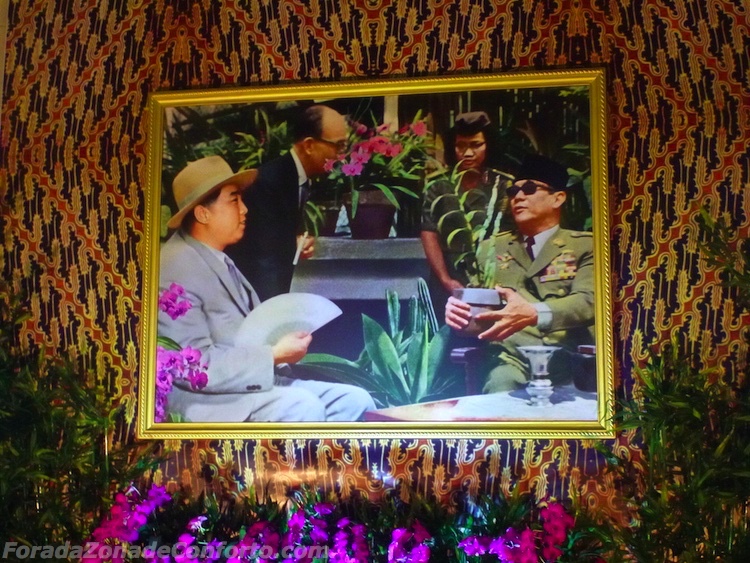 flor "especialmente criada" para Kim il-Sung - chamada Kimilsungia