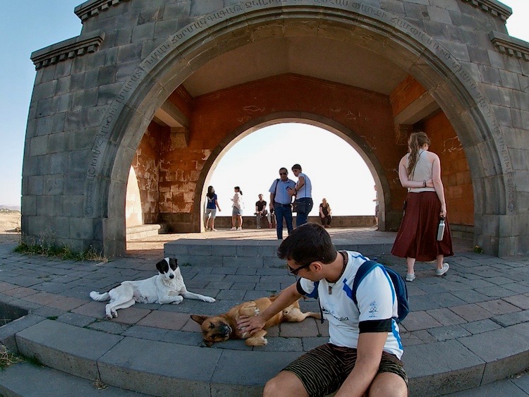 Playing with dogs in Armenia