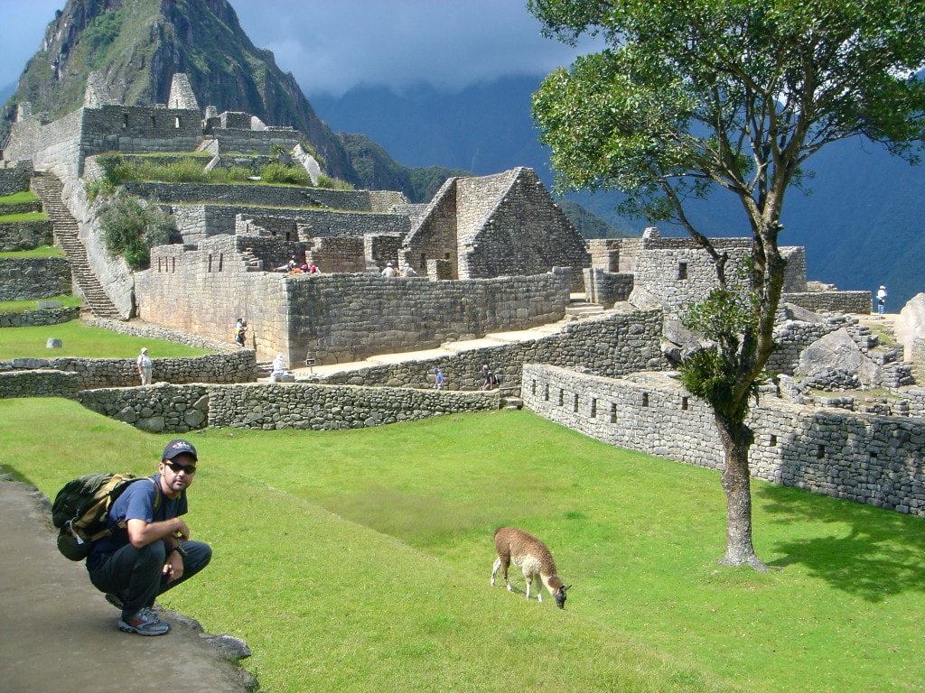 Llama Machu Picchu