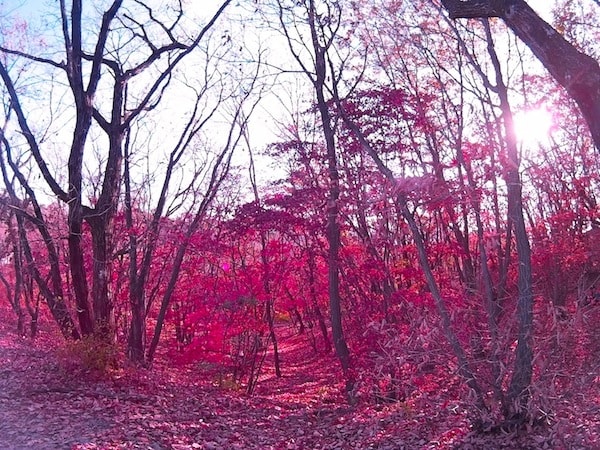 Bukhansan fall