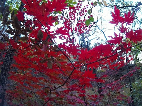 Bukhansan fall