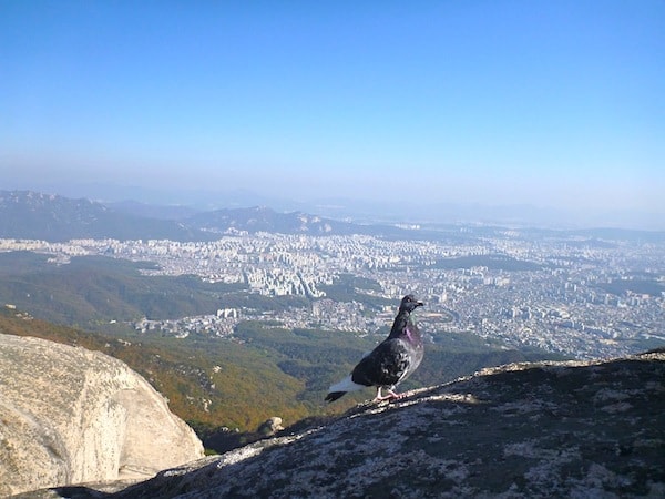 Bukhansan Baegundae Peak