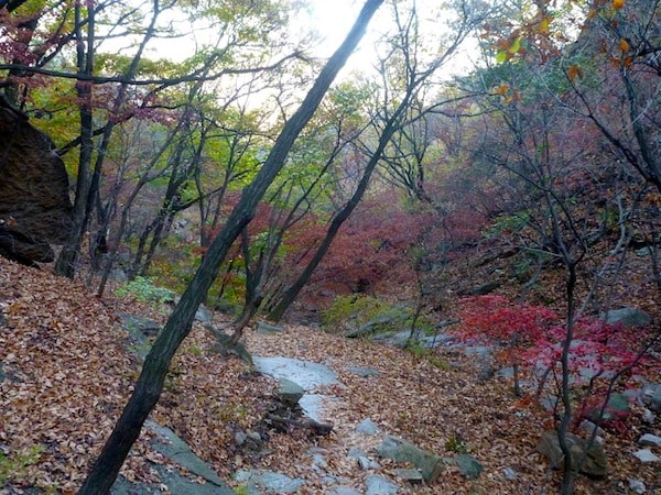 Bukhansan fall