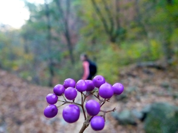 Bukhansan fall