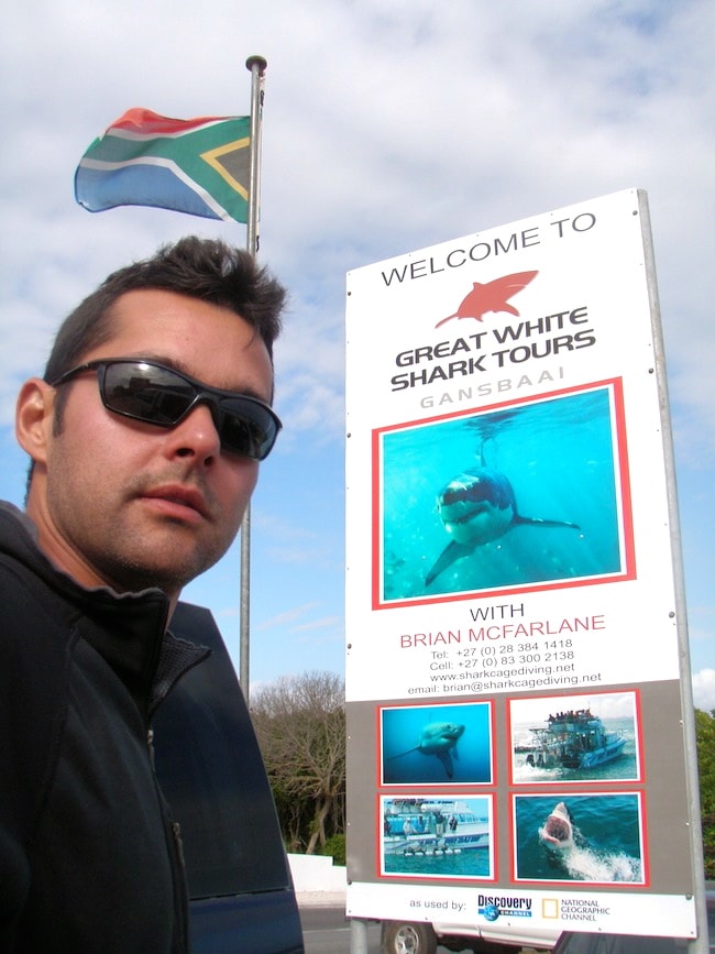 Diving with White Sharks South Africa
