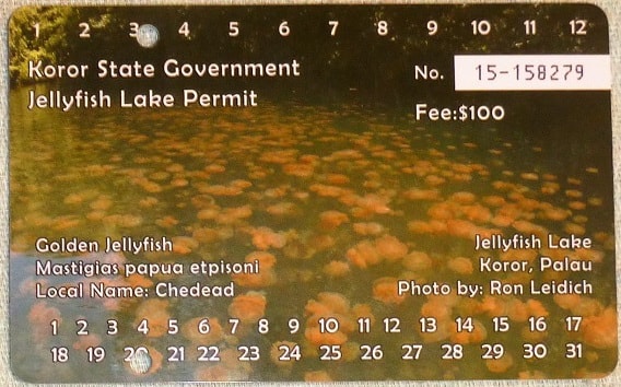 Government Permit of Jelly Fish Lake Palau
