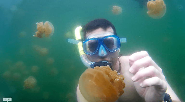 Jelly Fish Lake Palau