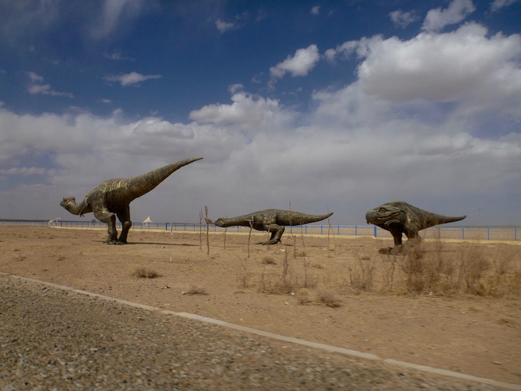 Erlian Erenhot Geopark Dinosaur