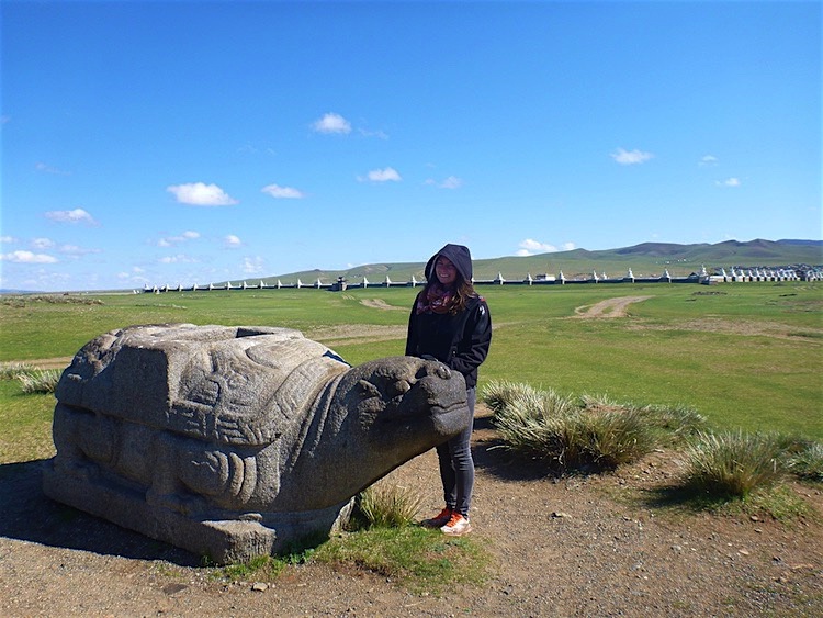 Turtle Karakorum