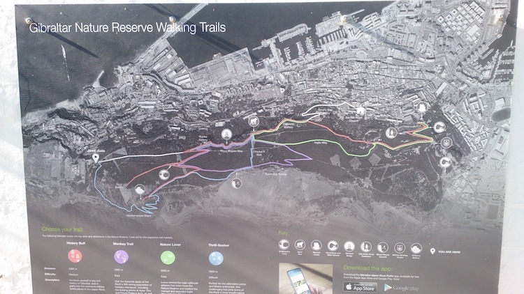 Gibraltar upper rock nature reserve walking map