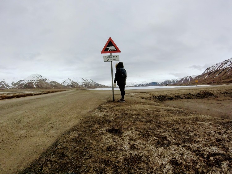 Svalbard Norway Longyearbyen polar bear warning sign