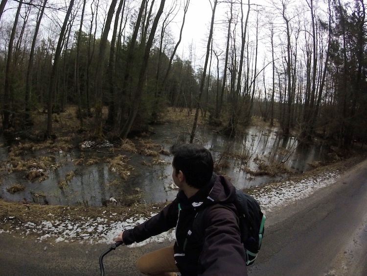 Belovezhskaya-Pushcha-National-Park-Biking