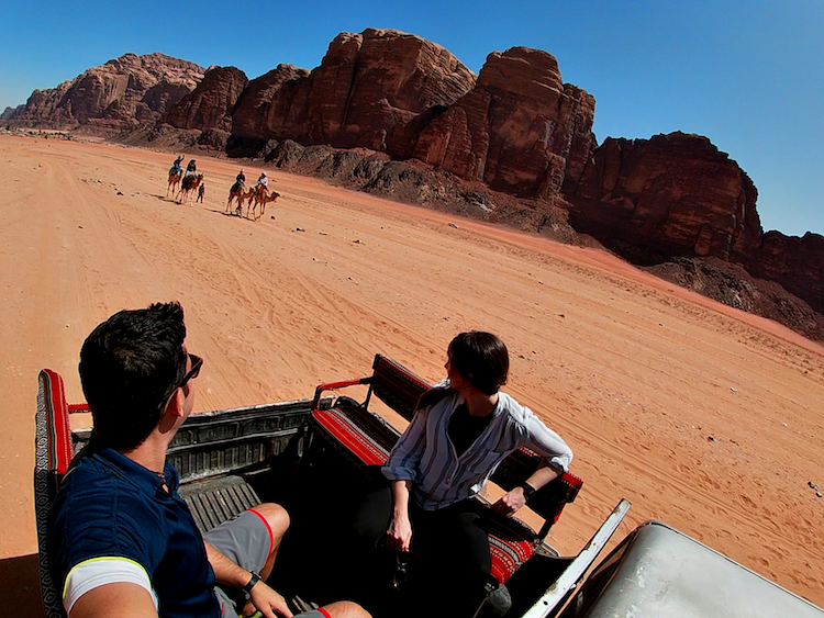 Camels in the desert