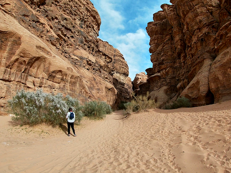 Canyon Wadi Rum