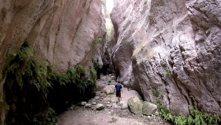 Akamas gorge cyprus hike