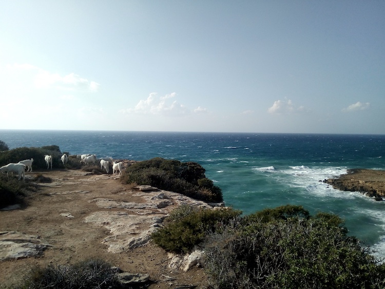 north cyprus day trips