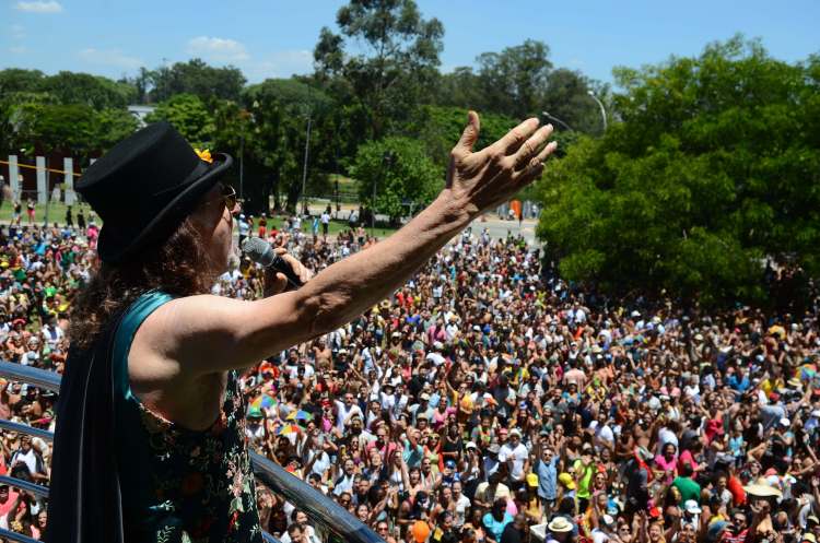 Brazil street carnival 