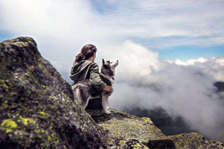 6 Tips for Stress-Free Traveling with Your Dog 