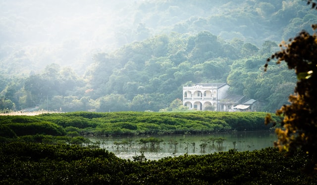 5 Things to Know About Hong Kong: Exploring the Pearl of the Orient