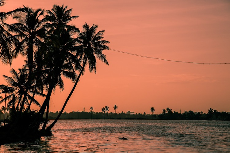 16 Best Things to Do in Kochi, Kerala - India
