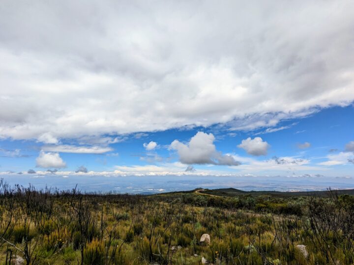 kenya national park