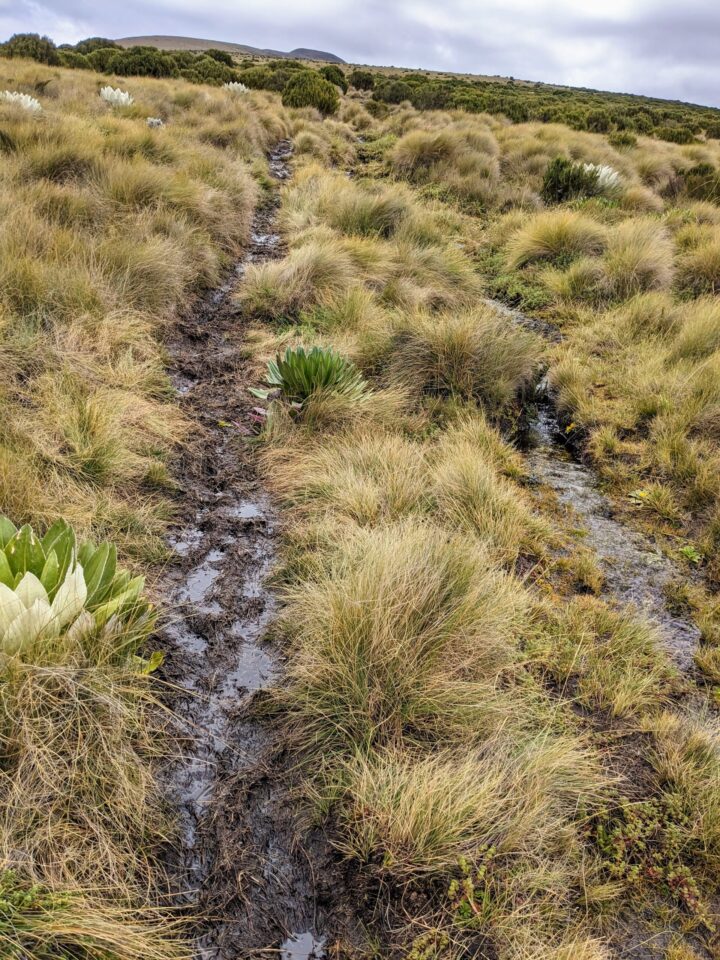 mud kenya national park