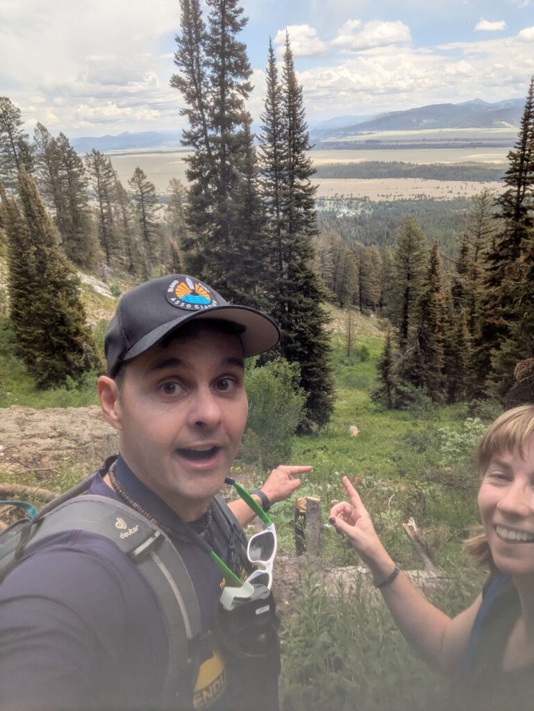 bear in Wyoming