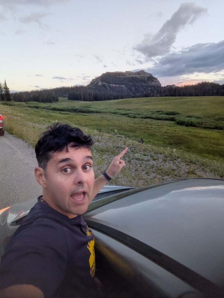 grizzly bear Wyoming