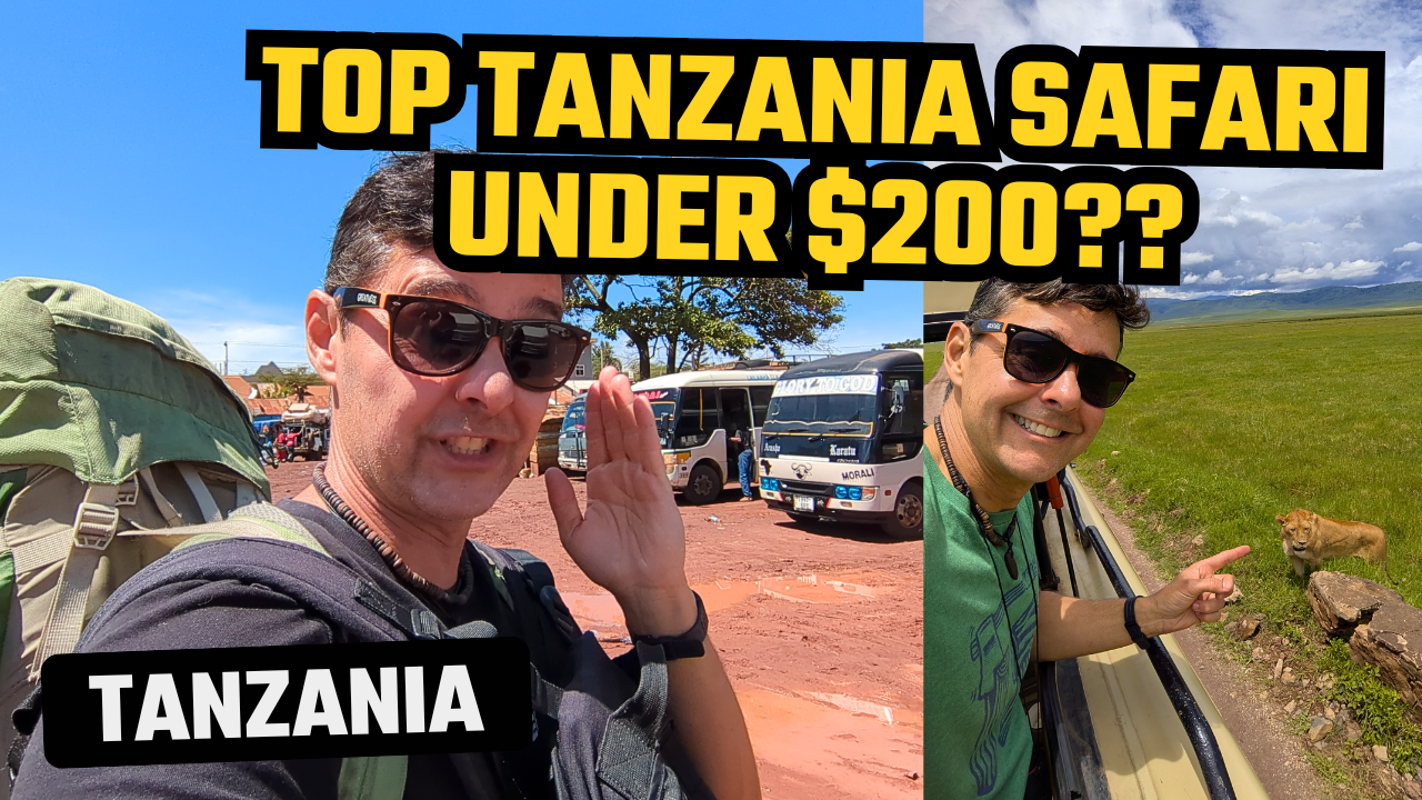 cheap safari in tanzania